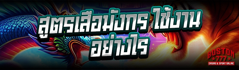 สูตรเสือมังกร ใช้งานอย่างไร