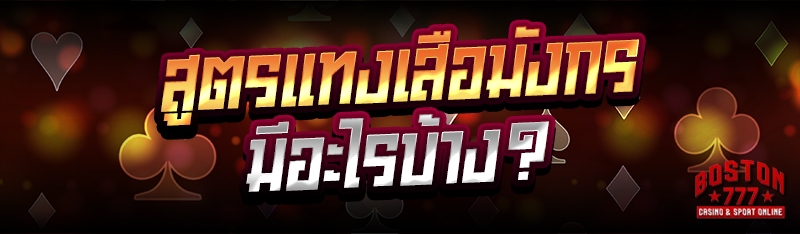 สูตรแทงเสือมังกร มีอะไรบ้าง?